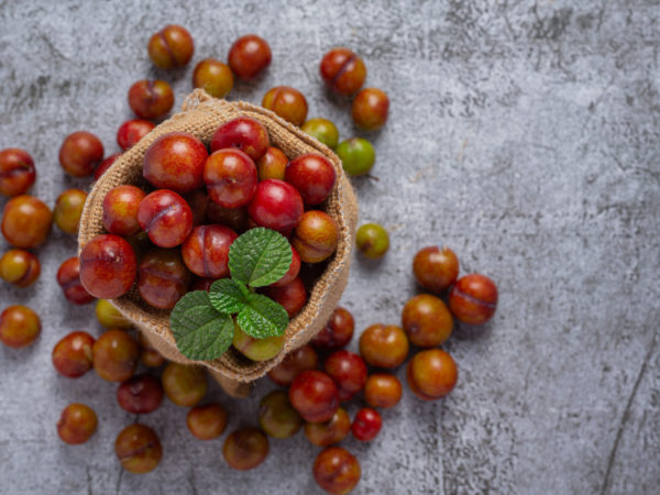 Guarana : La Plante Brûle-Graisse Ultime ? Notre Avis Sincère